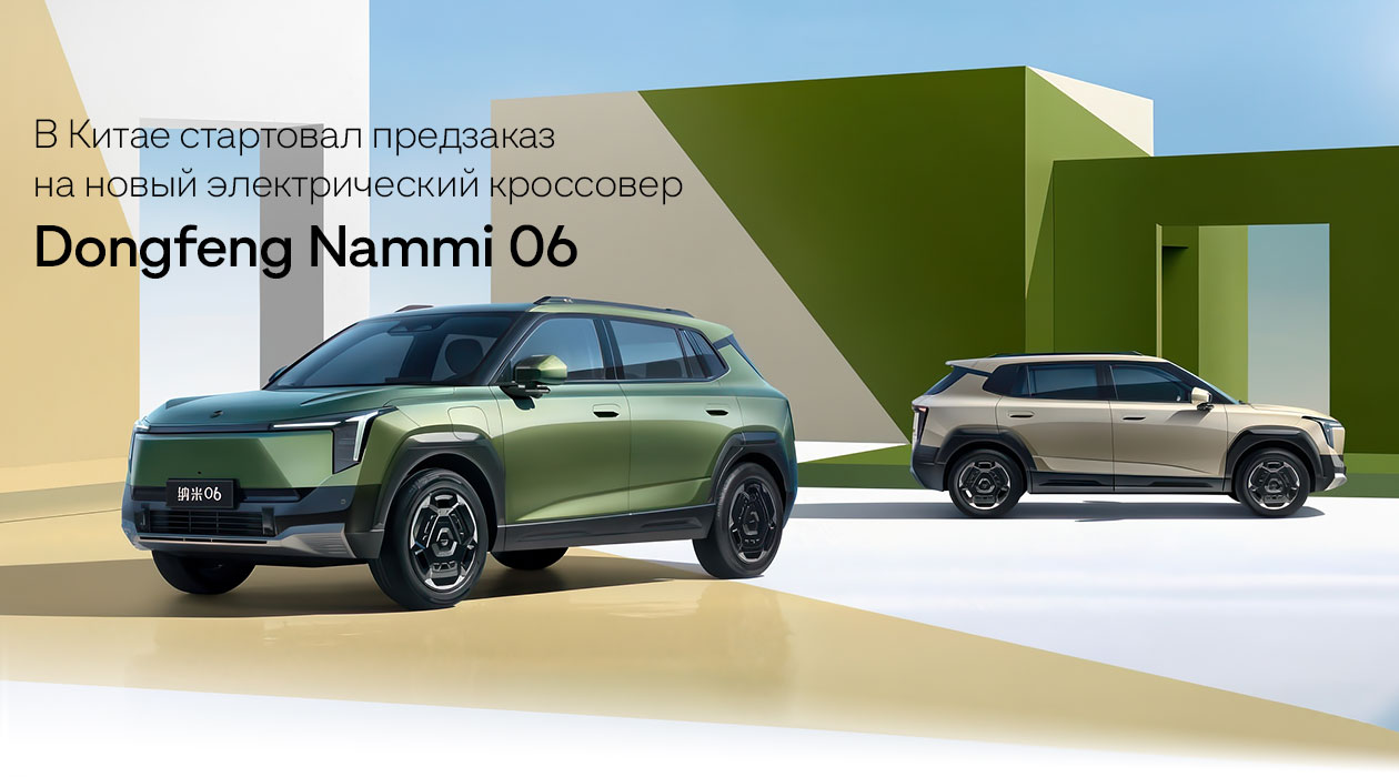 Dongfeng Nammi 06