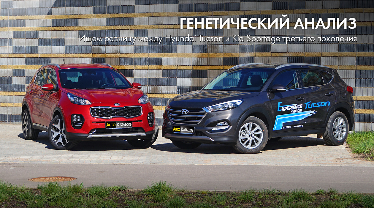 Ищем разницу между Hyundai Tucson и Kia Sportage третьего поколения