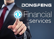 DONGFENG FINANCIAL SERVICES