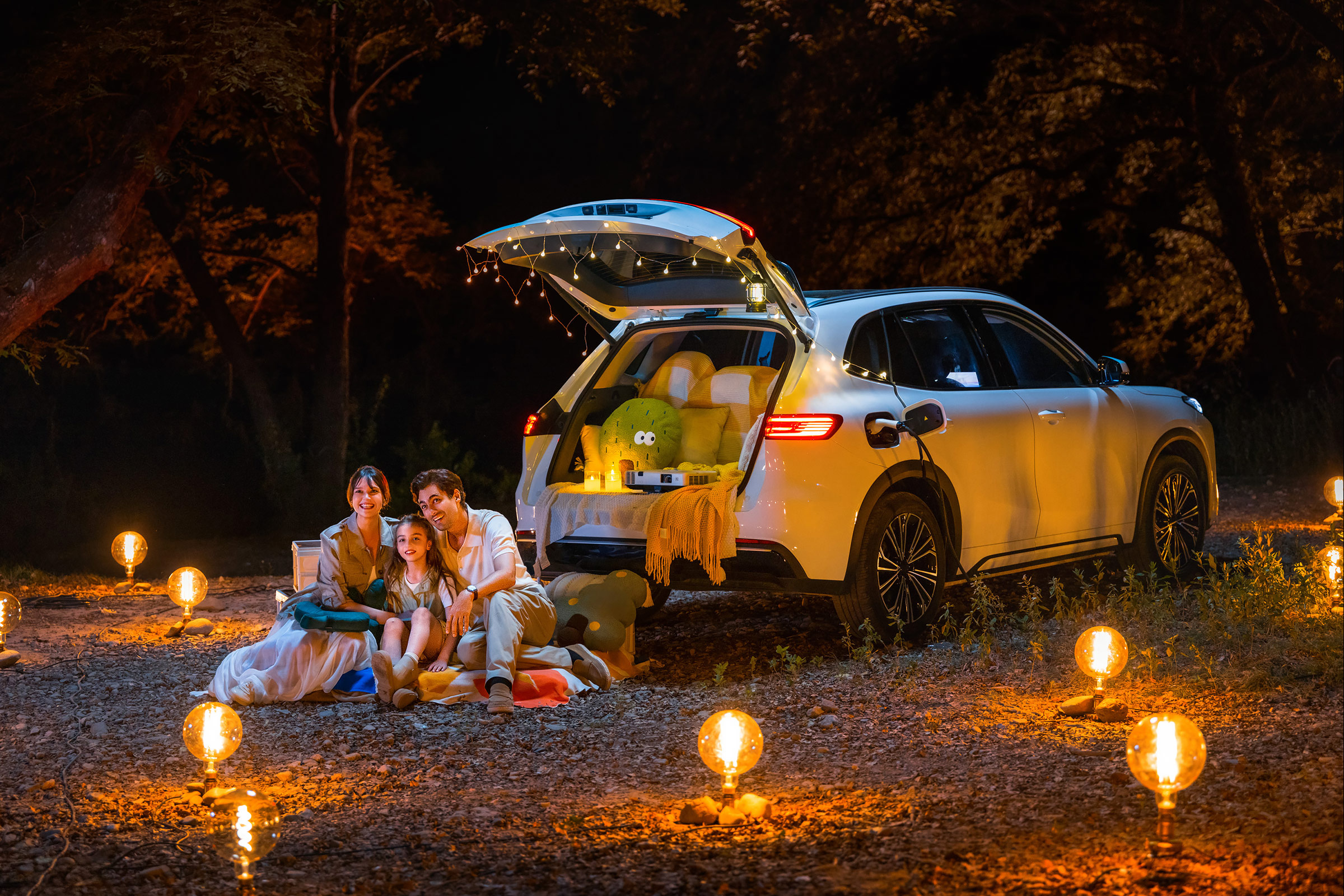  X80 PHEV