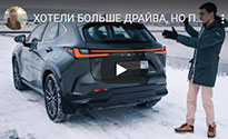 Lexus NX 2022 (Павел Блюденов)